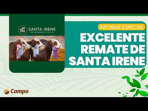 LITORAL CAMPO | Braford de Élite: toro de 50 millones y remate destacado de Santa Irene
