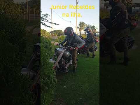 Rebeldes e coração de óleo na ilha de Vera Cruz Bahia.