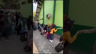 Download lagu Study Tour Bali 2023 mp3 Download lagu Study Tour Bali 2023 mp3