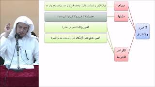 صورة القواعد الفقهية (مقسم) 41 - التأهيل الفقهي - عامر بهجت (الضرر يدفع بحسب الإمكان)
