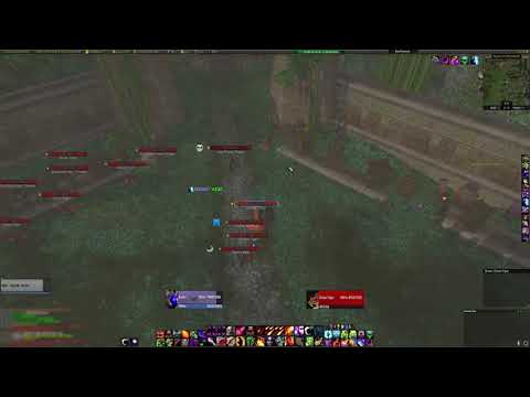 TBC Classic - Warlock Solo Tiger Boss