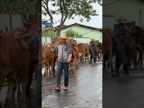 Carreata de Carro de Boi em Jacuí MG
