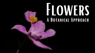 Flowers: A Botanical Approach