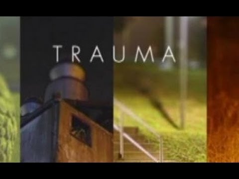 trauma pc game