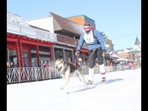 Video: 2020 American Birkebeiner Barkie Birkie Skijor