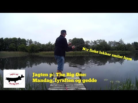 Mandag fyraften og gedde
