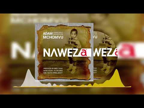 Adam Mchomvu feat Next Generation - Naweza (Official Audio)