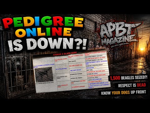 Apbt Peds Online