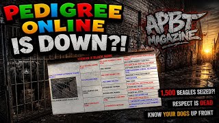 PEDIGREE ONLINE IS DOWN! 🧬🔥 | 1,500 Beagles Seized! | Respect Is DEAD in the APBT Community!