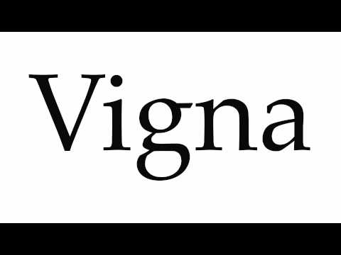 How to Pronounce Vigna