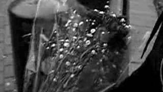 lol steph (tef-tefs) first bunch of flowers