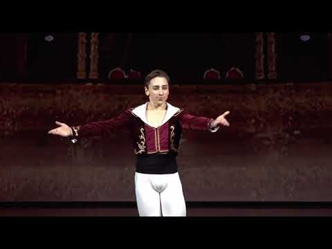 DON QUIXOTE - Basilio Variation (Denis Cherevichko)