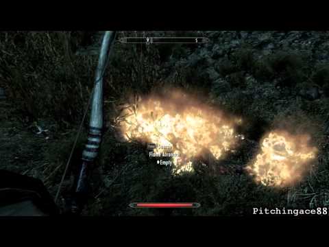 Elder Scrolls V: Skyrim Walkthrough HD - Part 25 - Library