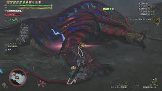 歴戦王ツナ VS ガバガバ太刀使い【06'40"24】【討伐】【モンハンワイルズ】