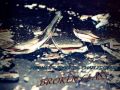 Michael T. Brooks ft. Charles Clark : Broken Glass (RnB4U)