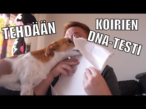 Mitä rotuja Pablossa on?