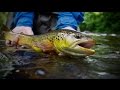 NICK FLY FISHING GUIDE KEN HARDWICK - DAVIDSON RIVER JUNE 1, 2015