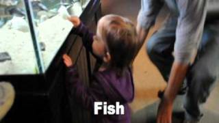 Follow You (Beauty Strike)