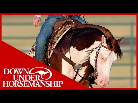 Clinton Anderson Presents: Titan a Legend in the Making, Lesson 5, Part 3 - Downunder Horsemanship