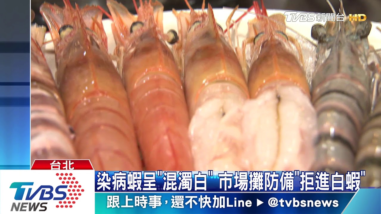 陸蝦瘟侵台！7縣市16養殖場受害　蝦價恐漲