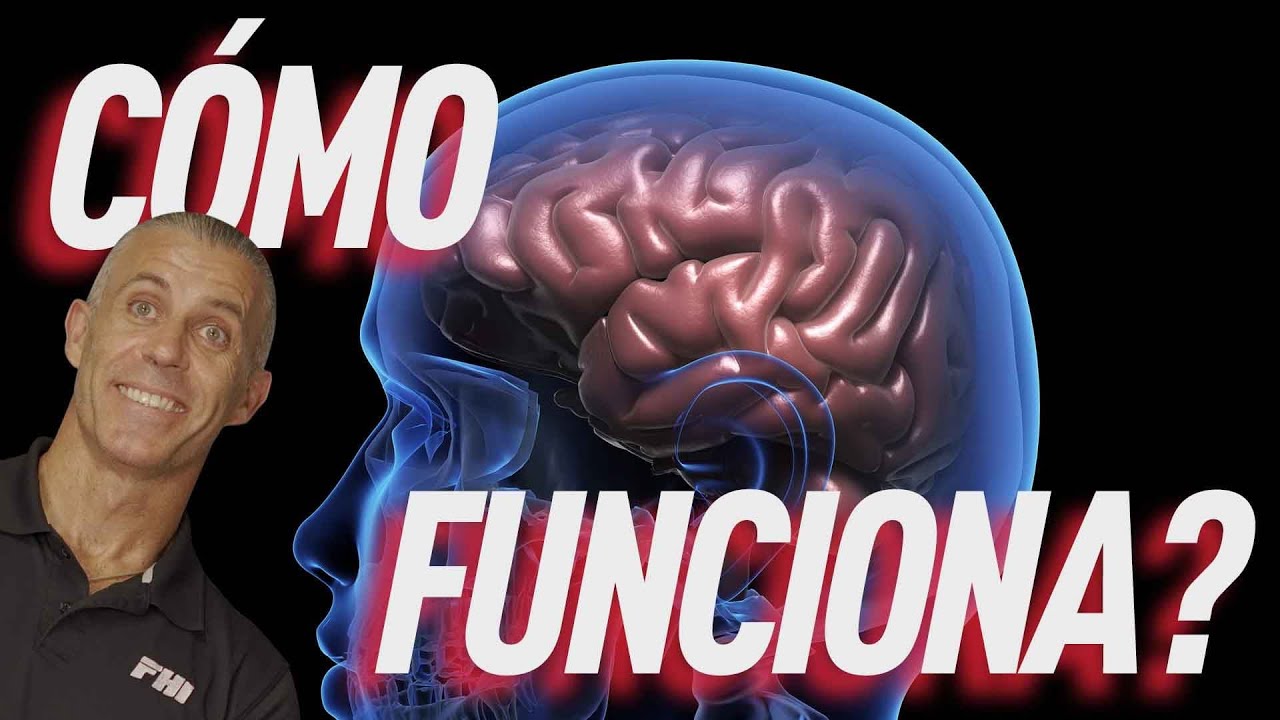 ¿CÓMO FUNCIONA EL 𝘾𝙀𝙍𝙀𝘽𝙍𝙊 AL MOVERNOS NEUROENTRENAMIENTO