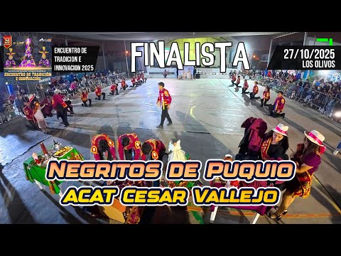 FINAL Negritos de Puquio - Ayacucho - ACAT Cesar Vallejo / Tradicion e  Innovacion Sombras del Peru