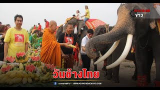 วันช้างไทย วังช้างอยุธยาแลเพนียด ทำบุญตักบาตร เลี้ยงโต๊ะจีนอาหารช้างกว่า 70 เชือก อาจารย์แดงเกจิชื่อ