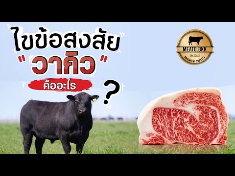KK&K — วิดีโอแนะนำสินค้า