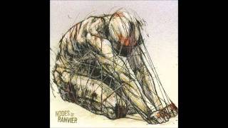 Nodes of Ranvier - New York City, 1963