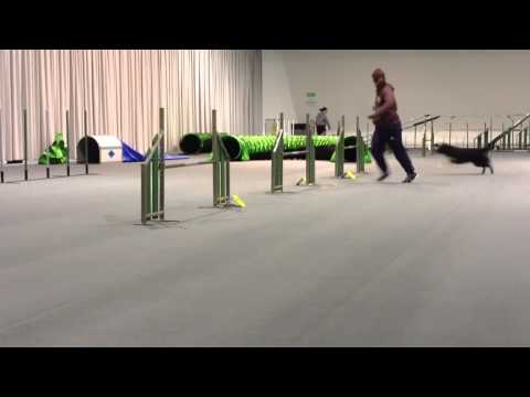 Kurstillfälle 5 Serpentin och Threadle