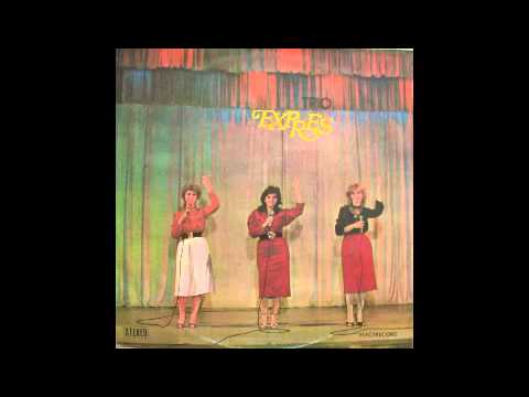 Trio Expres - Ploaia nu e in zadar (moog disco, Romania 1983)