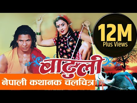 nepali movie dhadkan download nepali movie dhadkan download