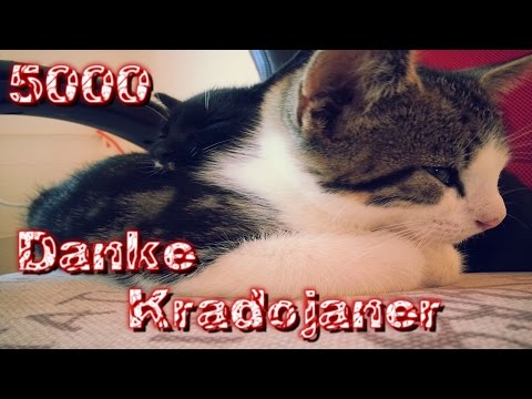 5000 Kradojaner Special! Dankeschön für eure Treue :-) - TeamKrado