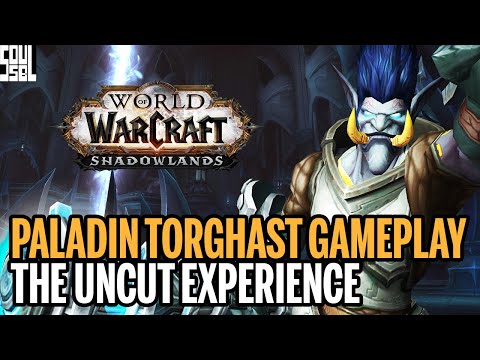 The Judgement Machine - Paladins in Torghast - Shadowlands Alpha Uncut Gameplay