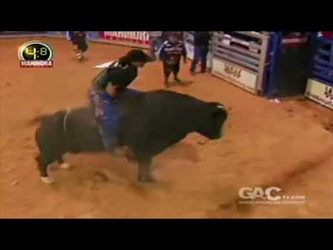 Ardie Maier vs High Dollar Habit - 09 CBR Lufkin (86.5 pts)