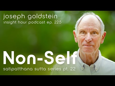Understanding Formation & Consciousness with Joseph Goldstein – Insight Hour Ep. 225 (SSS Pt. 22)