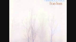 Fleetwood Mac - Sentimental Lady