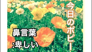 現実逃避