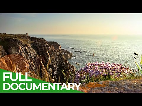 Jersey - Sunny Island in the English Channel | Free Documentary Nature