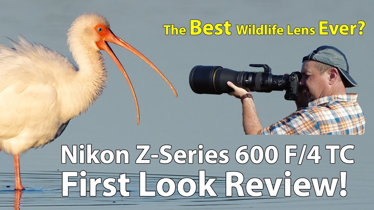 Video thumbnail for Video Review 2