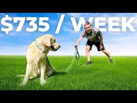 Inside the $735 / Week Dog Walking Hustle