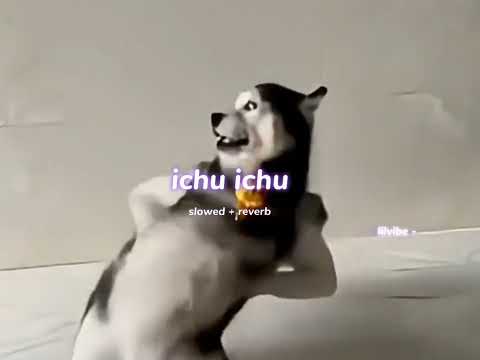 Ichu ichu ( s l o w e d + r e v e r b ) | lilvibe