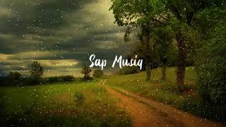 A.R.Rahman - Mayilirage Song Remix(Sap Musiq)