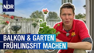 Balkonpflanzen, Hügelbeet und Gartenmöbel reinigen | Rasch durch den Garten | NDR