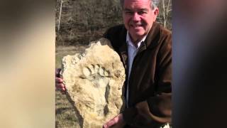 Footprints in stone - Overwhelming evidence of dinosaurs and man together