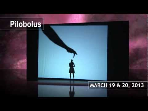 Pilobolus