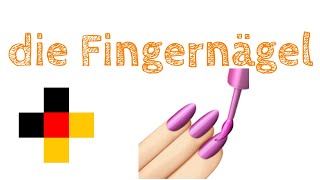 Deutsch:  die Fingernägel + Übersetzung in den Untertiteln