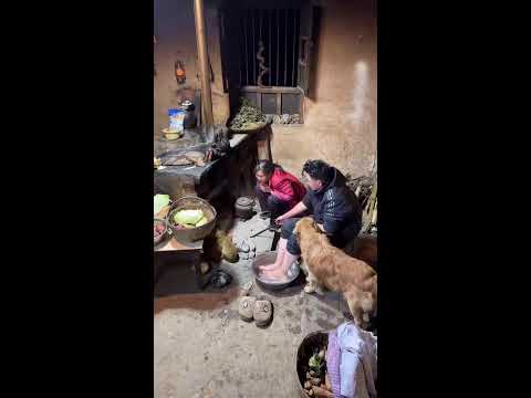 Cozy Village Life: A Quiet Evening by the Wood Stove with My Loyal Dog