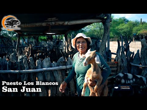 184 Puesto Los Blancos, San Juan - Estancias y Tradiciones