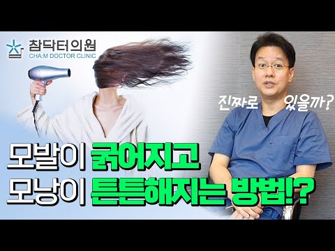 모발이 굵어지고 모낭이 튼튼해지는 방법은!? [참닥터의원]